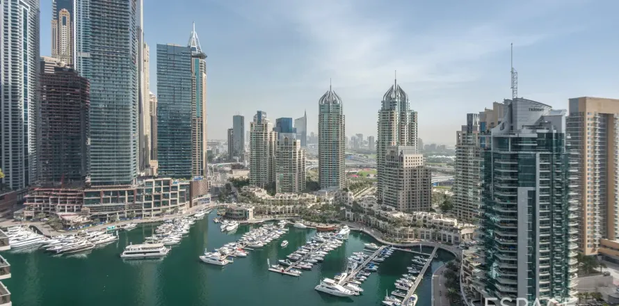 شقة في No.9, مرسى دبي, دبي 3 غرف نوم, 164 م² رقم 71271