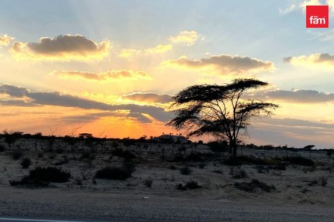 Купить земельный участок в Джабаль-Али, Дубай: 992м², № 97797 - фото 4