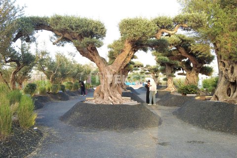 شقة في Meydan, دبي 1غرف نوم, 105 م² رقم 49720 - صورة 4