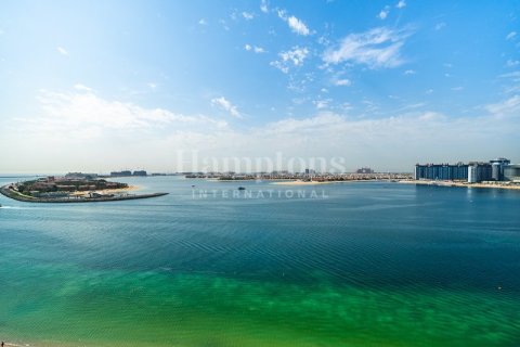 شقة في Dubai Harbour, دبي 2 غرف نوم, 132.75838700 م² رقم 63604 - صورة 10