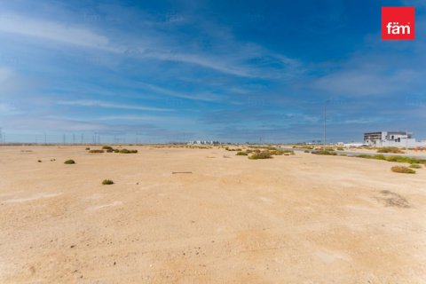 Land in Jebel Ali, Dubai 889 sq.m. № 71559 - photo 3