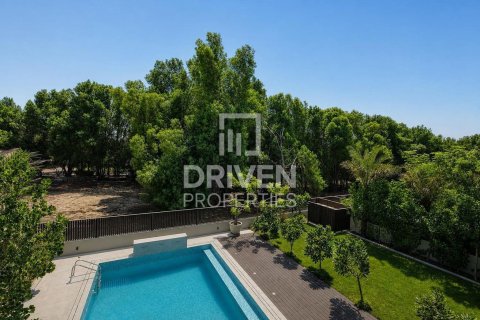 Villa à Nad Al Sheba 1, Nadd Al Sheba, Dubai, studio, 1175.97 m², № 142542
