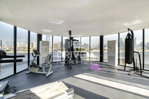 فيلا في نخلة جميرا, دبي 7 غرف نوم , 1261 م² رقم 65139 - صورة 22