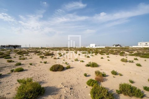 Купить земельный участок в Джабаль-Али, Дубай: 1013.76м², № 140156 - фото 8