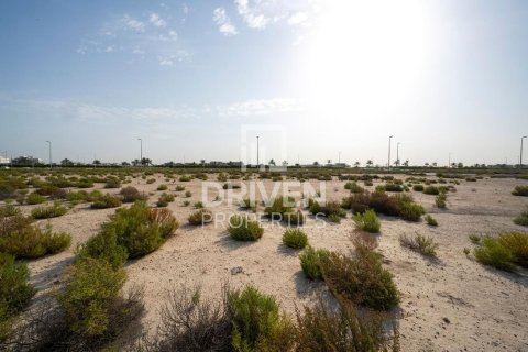 Купить земельный участок в Джабаль-Али, Дубай: 1013.76м², № 140156 - фото 7