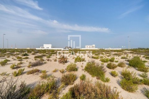 Купить земельный участок в Джабаль-Али, Дубай: 1013.76м², № 140156 - фото 5
