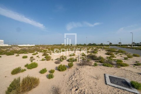 Купить земельный участок в Джабаль-Али, Дубай: 1013.76м², № 140156 - фото 9
