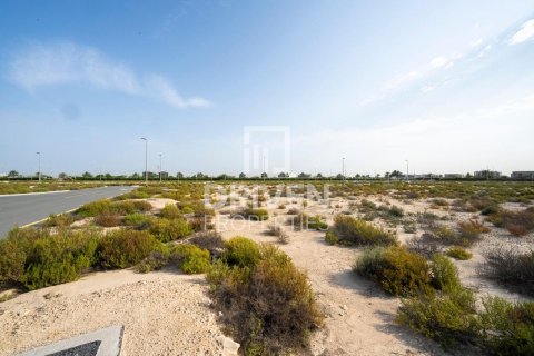 Купить земельный участок в Джабаль-Али, Дубай: 1013.76м², № 140156 - фото 12