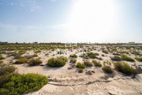 Купить земельный участок в Джабаль-Али, Дубай: 1013.76м², № 140156 - фото 2