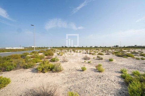 Купить земельный участок в Джабаль-Али, Дубай: 1013.67м², № 140157 - фото 4