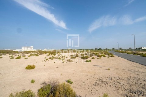 Купить земельный участок в Джабаль-Али, Дубай: 1013.67м², № 140157 - фото 9