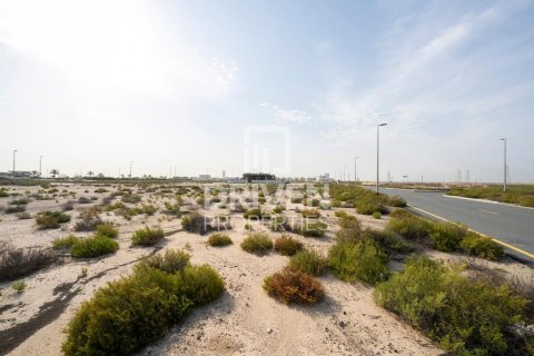 Купить земельный участок в Джабаль-Али, Дубай: 1013.67м², № 140157 - фото 2