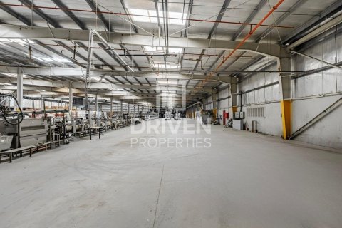 Warehouse in Jebel Ali, Dubai 12263.2 sq.m. № 130102 - photo 5