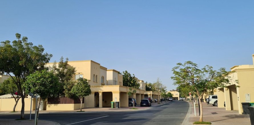 Springs 8