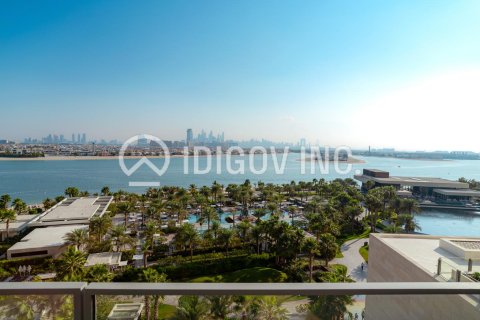 شقة في Atlantis The Royal Residences, نخلة جميرا, دبي 2 غرف نوم, 255 م² رقم 55354 - صورة 12