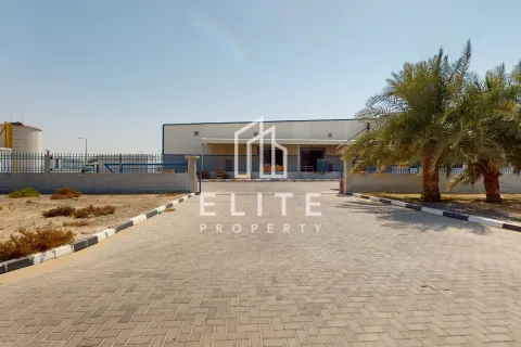 Entrepôt à Jebel Ali, Dubai, 5838 m², № 38891 - photo 2