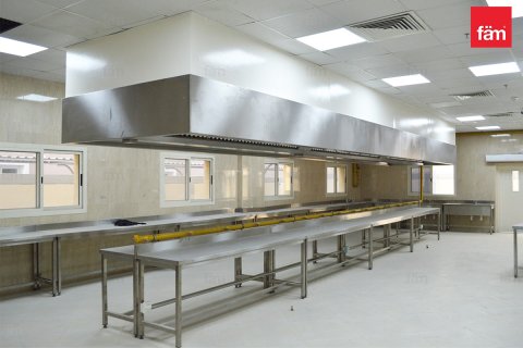 Купить общежитие для рабочих в Джабаль-Али, Дубай: 6847.3м², № 17048 - фото 4