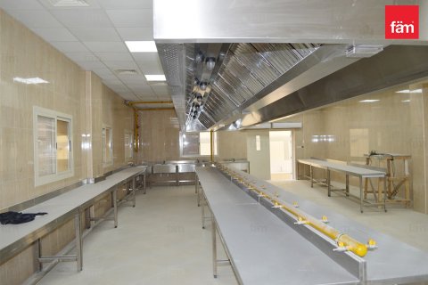 Купить общежитие для рабочих в Джабаль-Али, Дубай: 6847.3м², № 17048 - фото 5