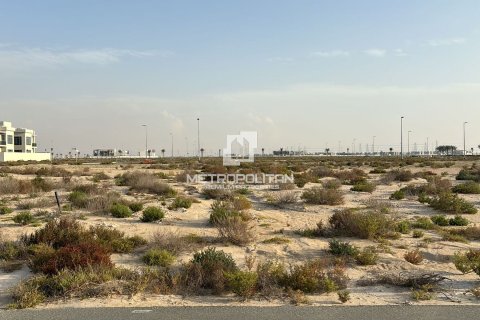 Land in Jebel Ali, Dubai 912 sq.m. № 15643 - photo 7