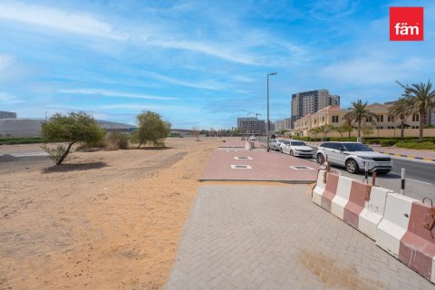 Land in Wadi Al Safa 2, Dubai 495.1 sq.m. № 22690 - photo 7
