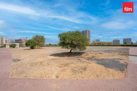 Land in Wadi Al Safa 2, Dubai 525.3 sq.m. № 22696 - photo 4