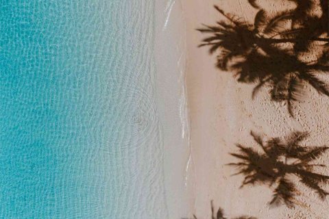 شقة في نخلة جميرا, دبي 3 غرف نوم, 255 م² رقم 120428 - صورة 16