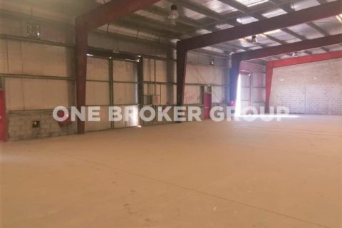 Warehouse in Dubai Investment Park, Dubai 3901.9 sq.m. № 527 - photo 13