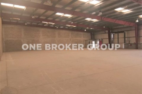 Warehouse in Dubai Investment Park, Dubai 3901.9 sq.m. № 527 - photo 14