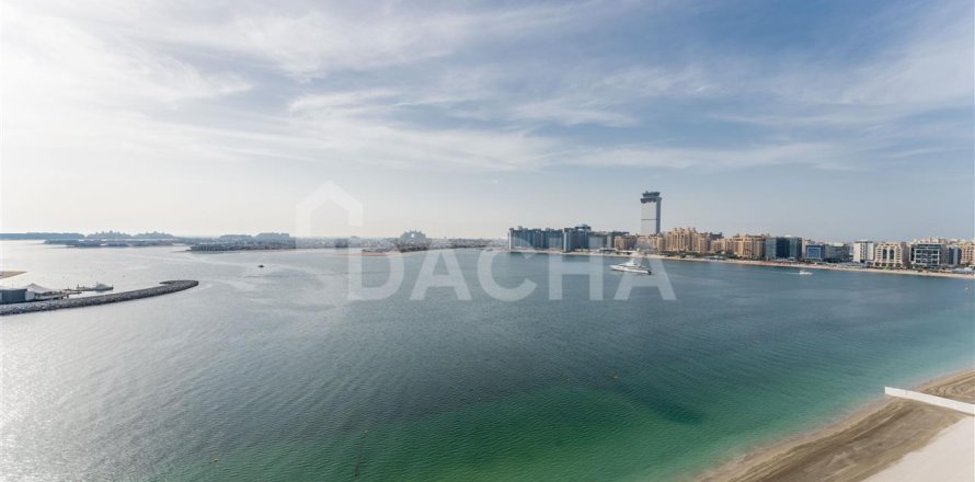 Apartment in Dubai Harbour, Dubai studio, 526.5 sq.m. № 7060