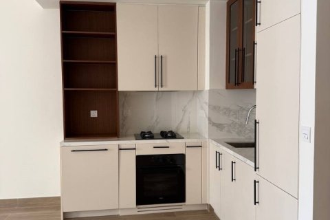 Apartment in Dubai 1 bedroom, 66.32 sq.m. № 110825 - photo 14