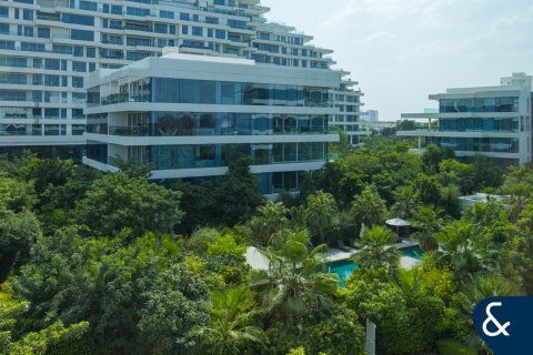 شقة في Ashjar, البراري, دبي 4 غرف نوم, 639 م² رقم 75352 - صورة 19