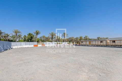 Land in Emirates Hills, Dubai 3308 sq.m. № 19674 - photo 7