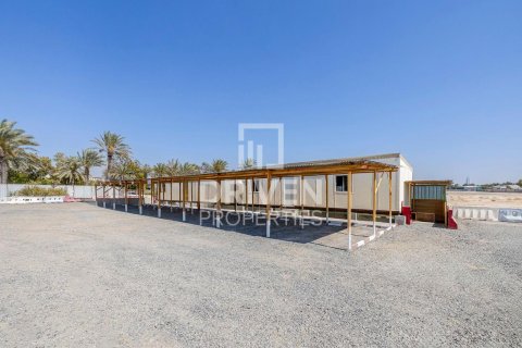 Land in Emirates Hills, Dubai 3308 sq.m. № 19674 - photo 5