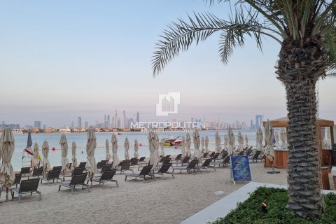 شقة في نخلة جميرا, دبي 3 غرف نوم, 222 م² رقم 73502 - صورة 25