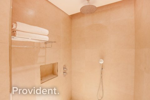 شقة في نخلة جميرا, دبي 33 م² رقم 1578 - صورة 9
