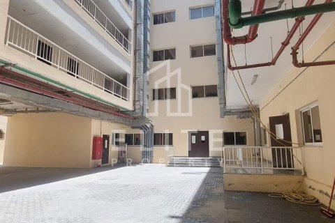 إقامة للمظفين في جبل علي, دبي 7061 م² رقم 38961 - صورة 5
