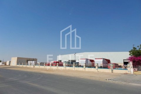 Warehouse in Dubai 7118 sq.m. № 38963 - photo 2