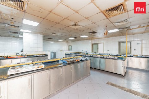 بناية في دبي 6858 م² رقم 12268 - صورة 10