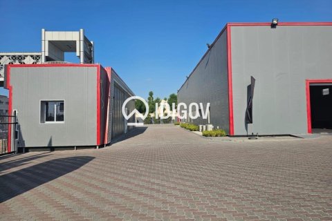 Warehouse in Al Quoz, Dubai 3716.12 sq.m. № 121118 - photo 5