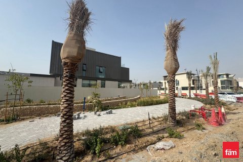 Villa in Dubai 3 bedrooms, 347.7 sq.m. № 49072 - photo 9