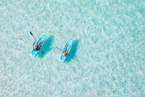 فيلا في Dubai South (Dubai World Central), دبي 4 غرف نوم, 442 م² رقم 69177 - صورة 15