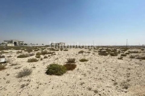 Terrain à Deira, Dubai, 1443.34100800 m², № 12839 - photo 2