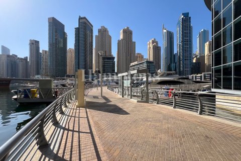مكتب في The Address Dubai Marina, مرسى دبي, دبي 1055.93549800 م² رقم 12793 - صورة 26