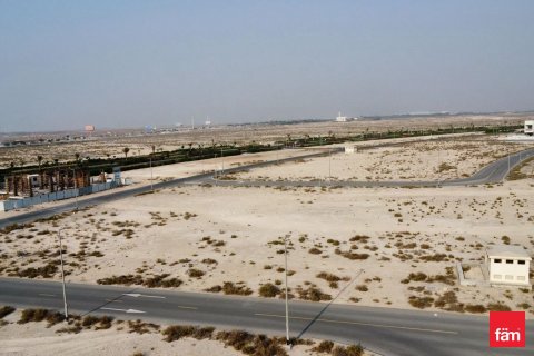 Land in Jebel Ali, Dubai 1075.9 sq.m. № 69357 - photo 4