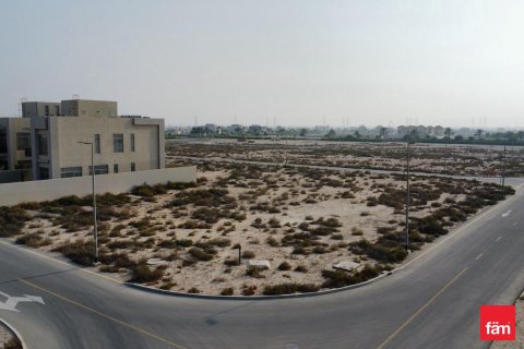 Land in Jebel Ali, Dubai 1075.9 sq.m. № 69357 - photo 5