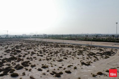 Land in Jebel Ali, Dubai 1075.9 sq.m. № 69357 - photo 2