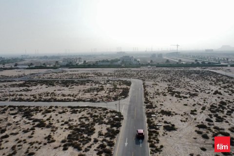 Land in Jebel Ali, Dubai 1075.9 sq.m. № 69357 - photo 13