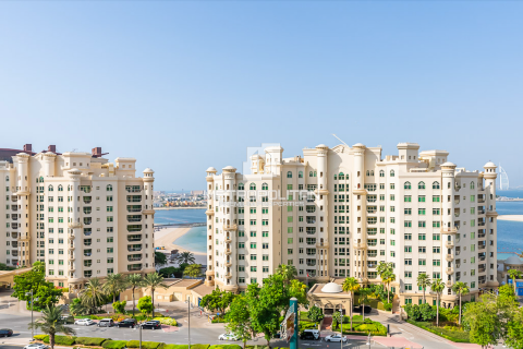 بانتهاوس في Shoreline Apartments, نخلة جميرا, دبي 4 غرف نوم, 450 م² رقم 73238 - صورة 3