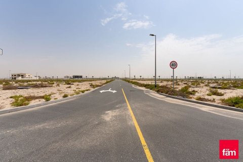 قطعة أرض في جبل علي, دبي 1030.7 م² رقم 114083 - صورة 8