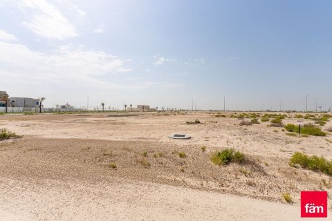 قطعة أرض في جبل علي, دبي 1030.7 م² رقم 114083 - صورة 3